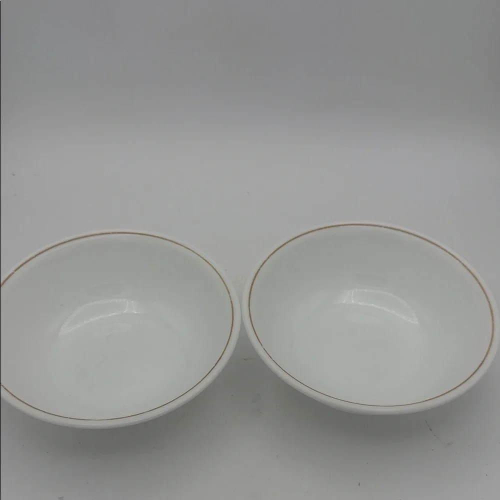 Set of 2 retired Corelle Indian Summer cereal bowls 6 1/4”
